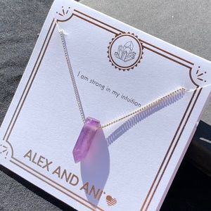 Alex and Ani amethyst gemstone necklace